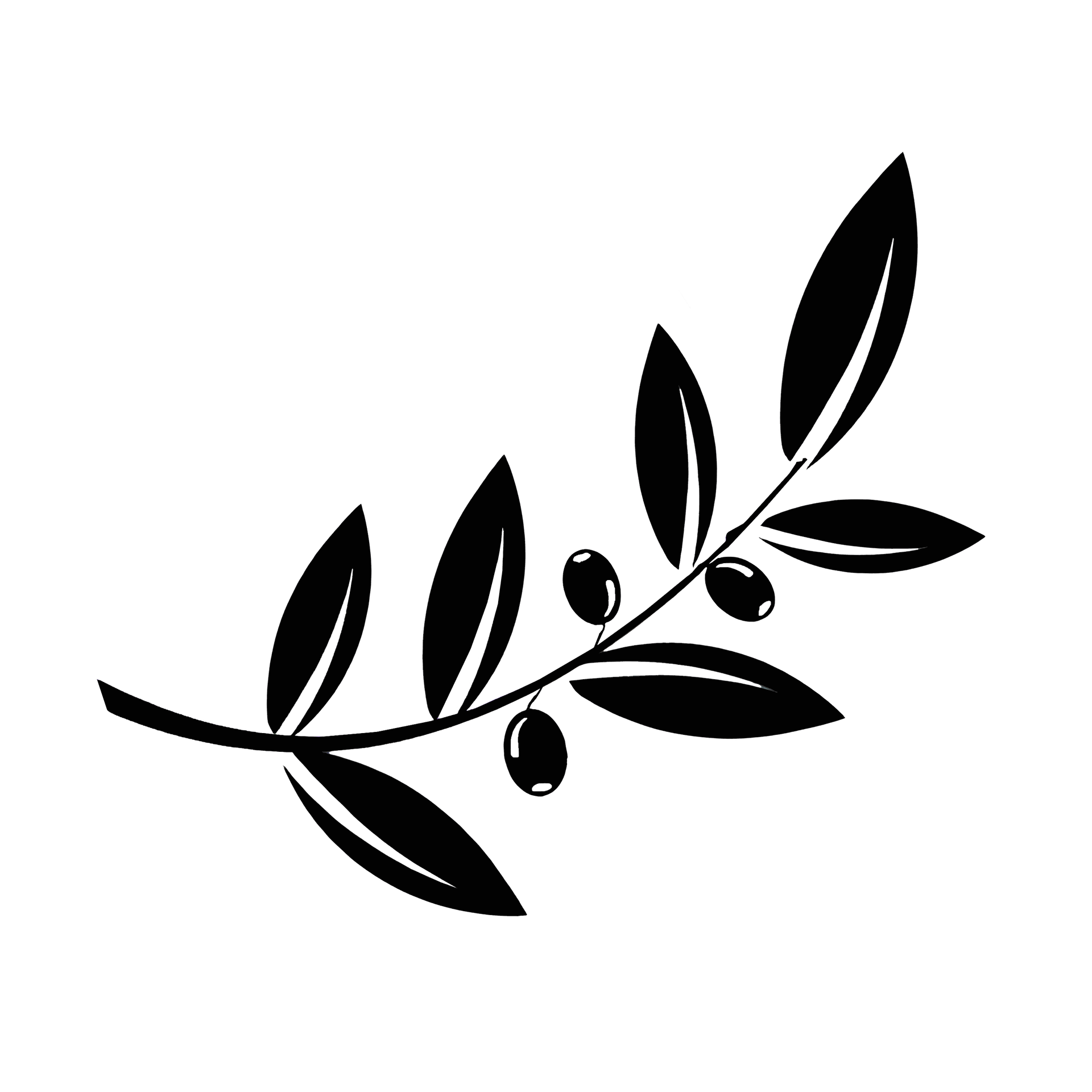 Seeds-El